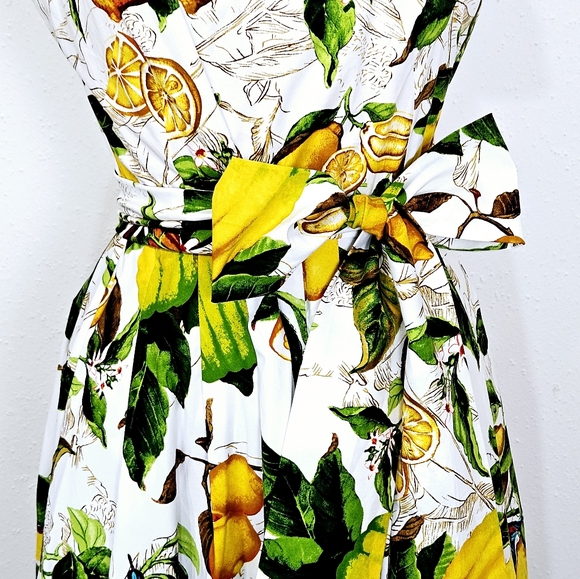 Samantha Sung Lemon Print A-Line Sleeveless Midi Dress Size 8 - Picture 7 of 16